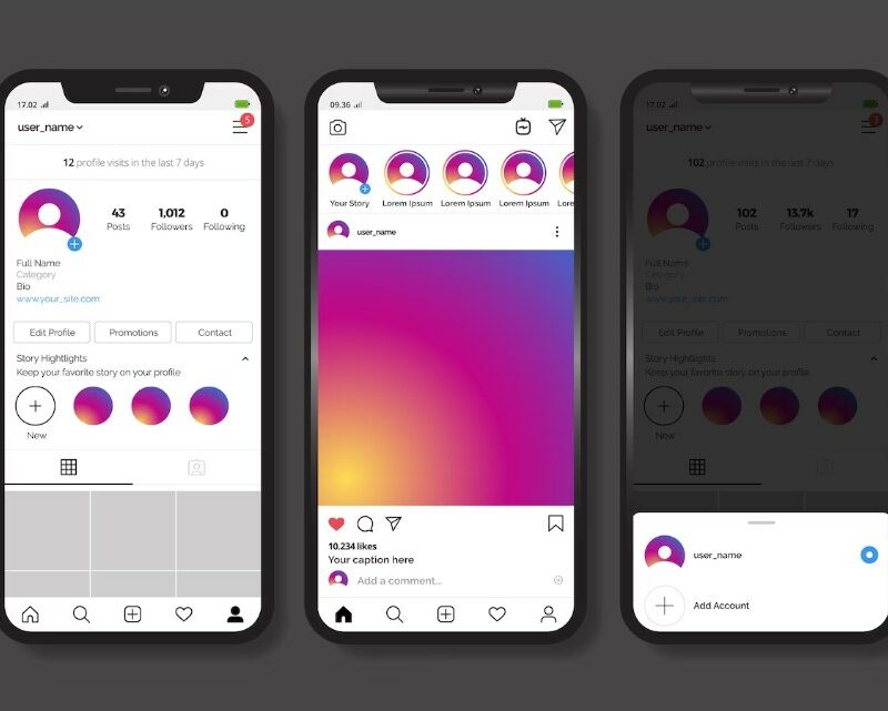 Finding Instagram User Biographies: Techniques and Tools