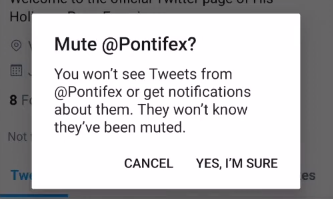 Screenshot of a muting process on Twitte