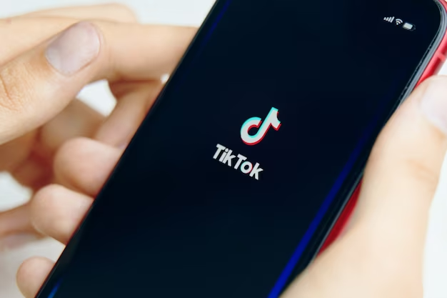 How to Search TikTok Accounts by Bio