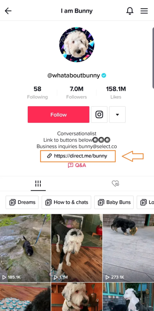 Profile so current and bio link
